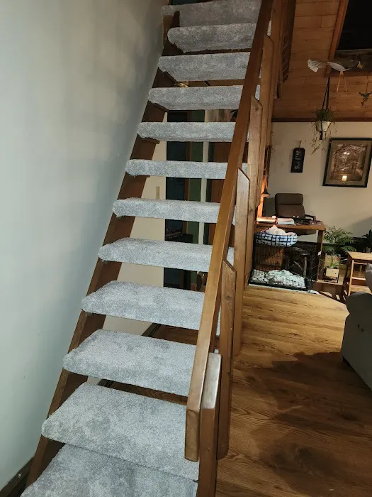 B Z Carpets Picture 1