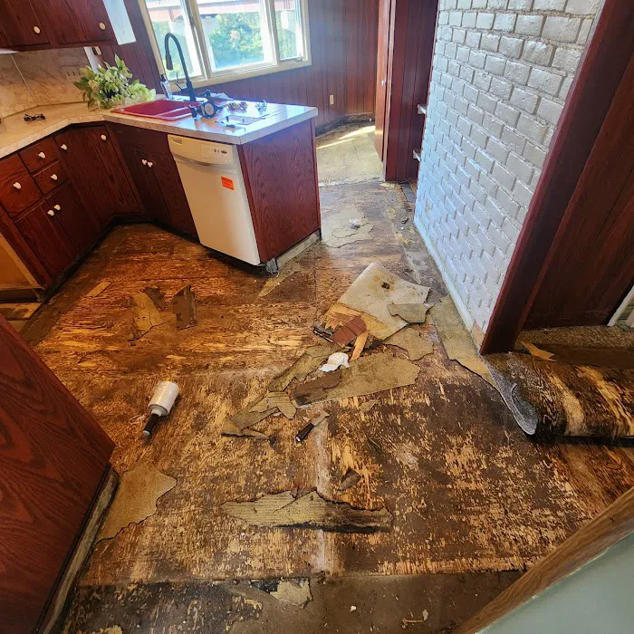 B Z Carpets Picture 8