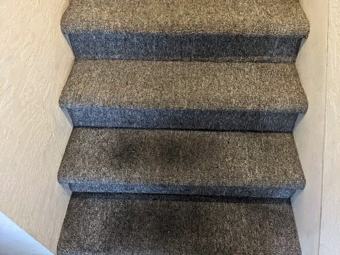 FloorCareMD Johnstown carpet cleaning Picture 6