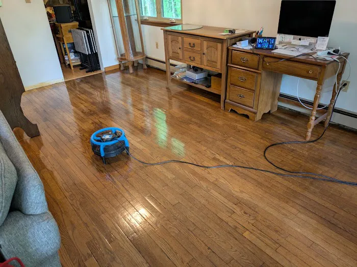 FloorCareMD Johnstown carpet cleaning Picture 9