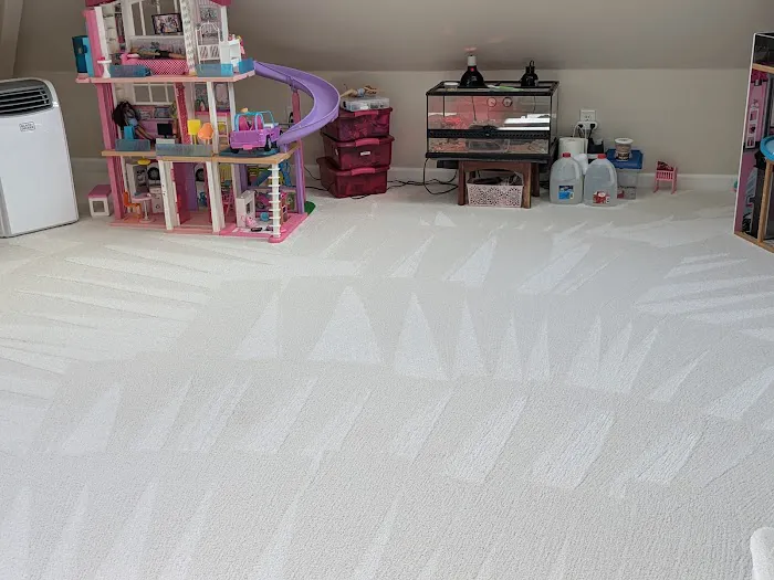 FloorCareMD Johnstown carpet cleaning Picture 10