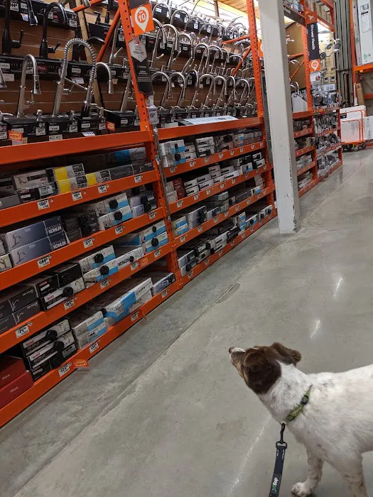 The Home Depot Picture 10