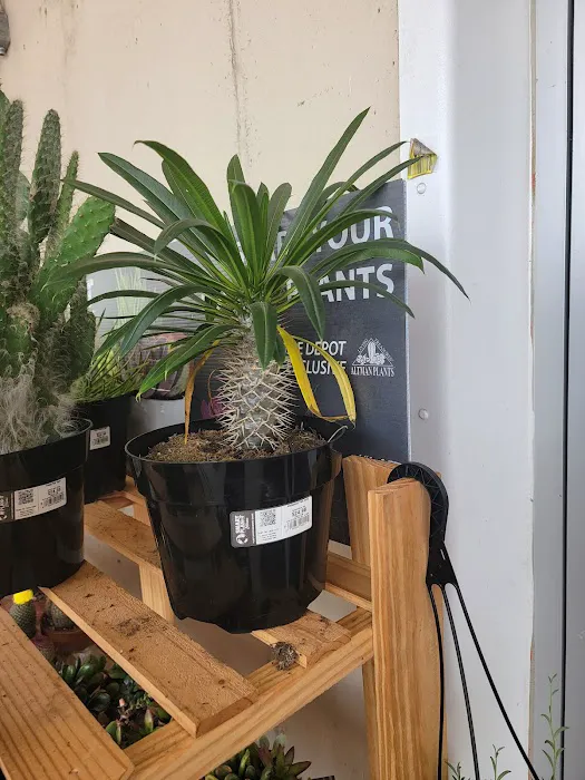 The Home Depot Picture 4