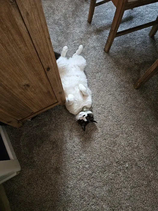 Stout's Discount Carpet Picture 1