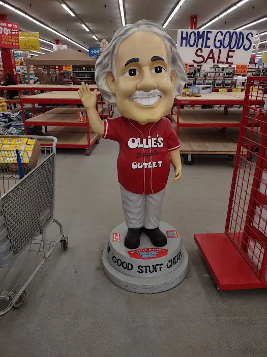 Ollie's Bargain Outlet Picture 10