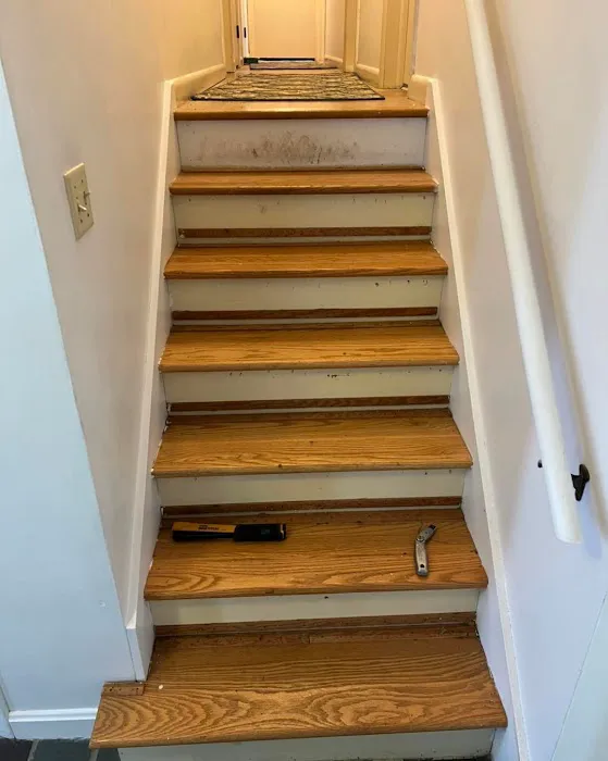 Lehman's Carpet Cleaning & Flooring Sales Picture 10