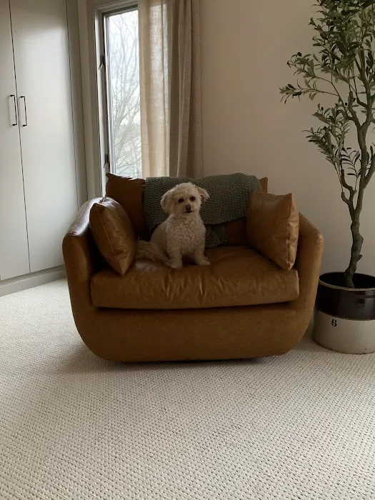 The Floor Trader Outlet of Chambersburg Picture 4