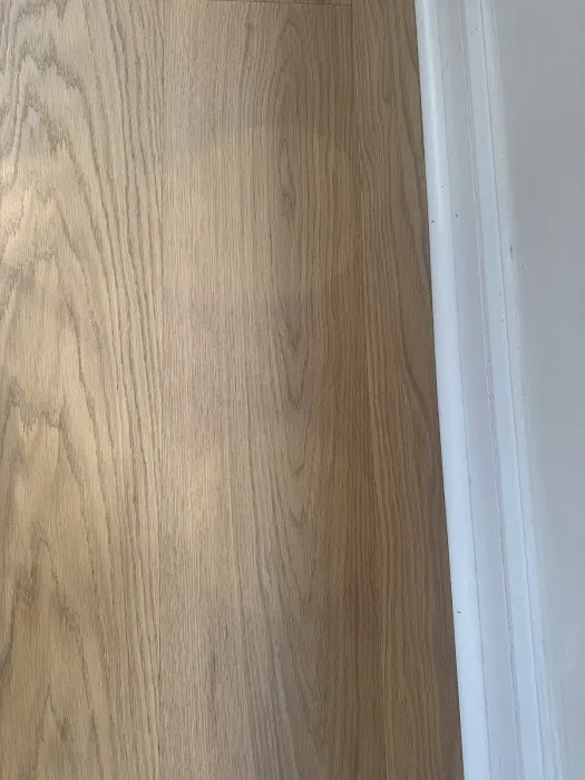 Elias Wilf Corporation Picture 9