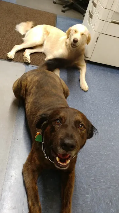 Elias Wilf Corporation Picture 6