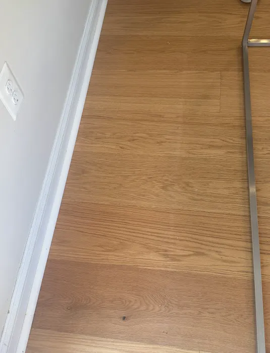 Elias Wilf Corporation Picture 10