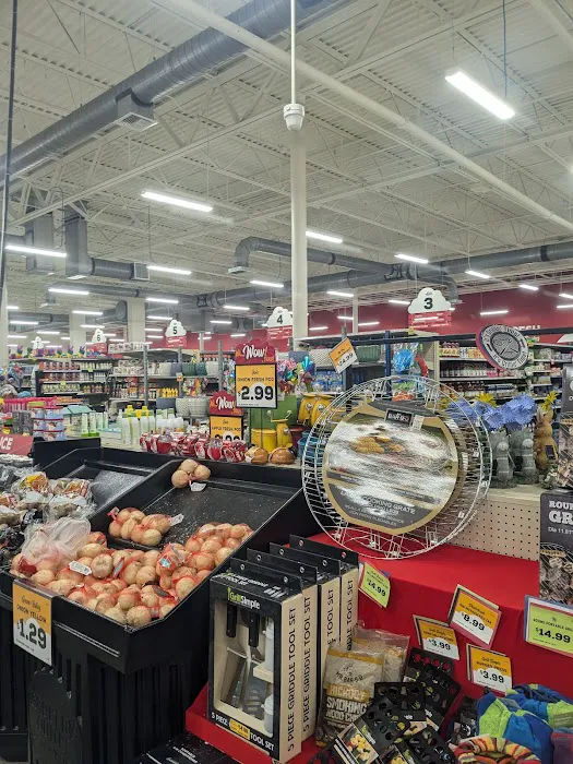 Ollie's Bargain Outlet Picture 6