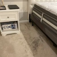 All County Carpet ico