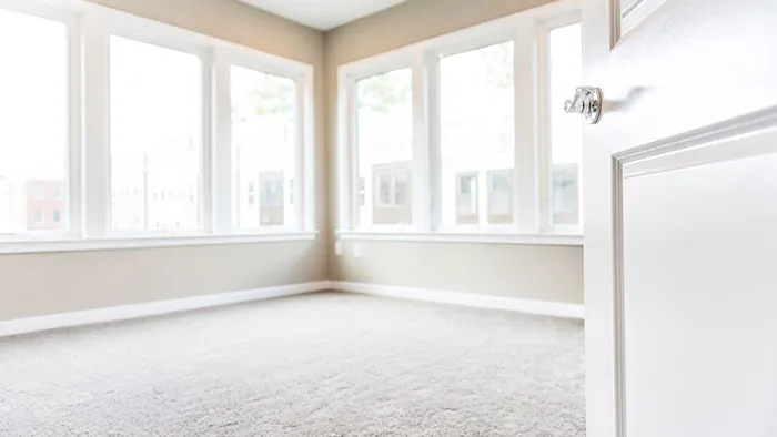 Normandy Carpet Picture 9