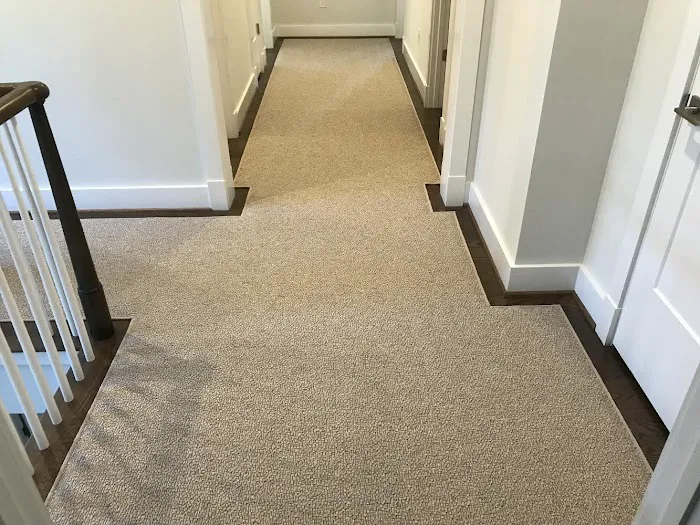 Normandy Carpet Picture 1