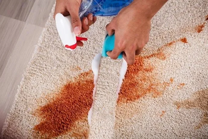 How to Handle Carpet Stains and Spills Like a Pro | Expert Cleaning Tips