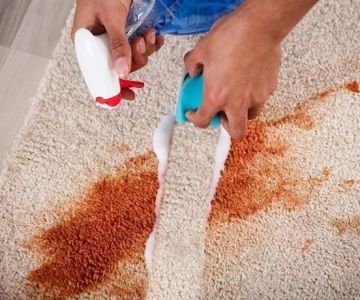 How to Handle Carpet Stains and Spills Like a Pro | Expert Cleaning Tips