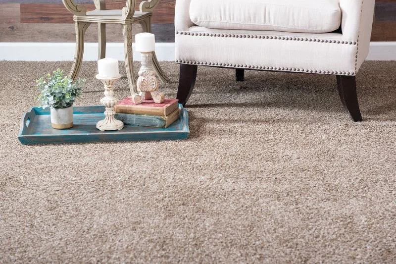 Is Carpet Still a Good Investment for Your Home? | CarpetHub