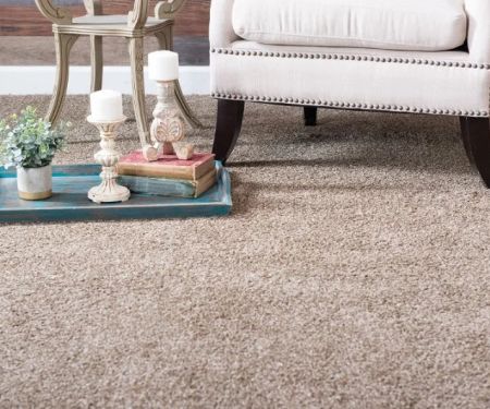 Is Carpet Still a Good Investment for Your Home? | CarpetHub