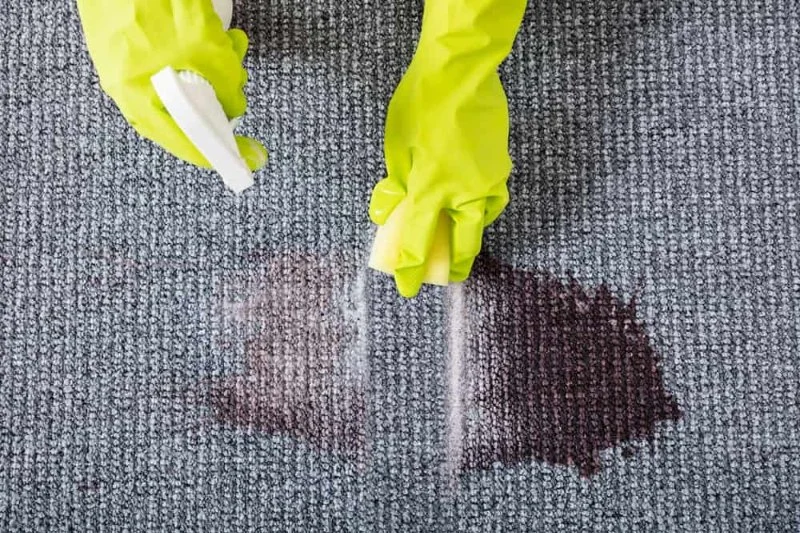 Carpet Care Hacks That Will Save You Time and Money