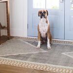 Should You Choose Carpets or Hardwood for Your Home’s Entryway?
