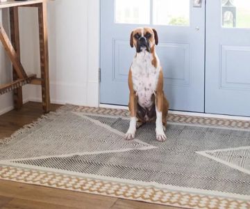 Should You Choose Carpets or Hardwood for Your Home’s Entryway?