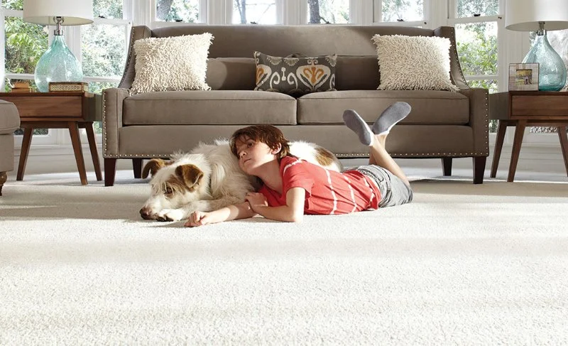 Choosing the Best Carpet for Homes with Pets