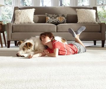 Choosing the Best Carpet for Homes with Pets