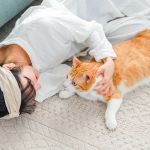 Best Carpet Materials for Maintaining Comfort and Warmth in Winter | CarpetHub