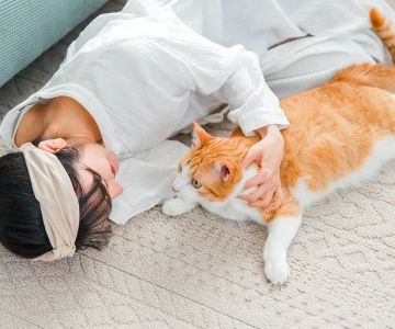 Best Carpet Materials for Maintaining Comfort and Warmth in Winter | CarpetHub