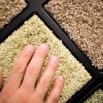 What You Need to Know About Eco-Friendly Carpet Materials