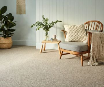 How to Choose Carpet That Will Complement Your Wall Colors