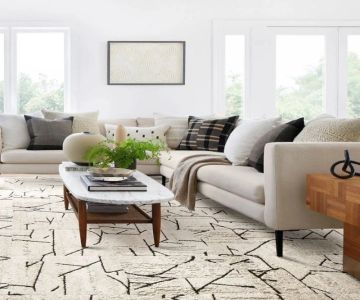 Why You Should Consider Patterned Carpets for Your Next Renovation