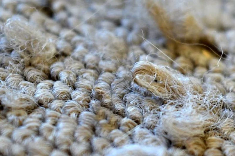 The Science Behind Carpet Fibers and Their Durability