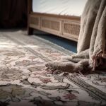 The Top Carpet Brands to Consider for Your Next Purchase