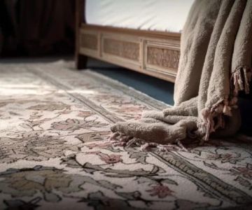 The Top Carpet Brands to Consider for Your Next Purchase
