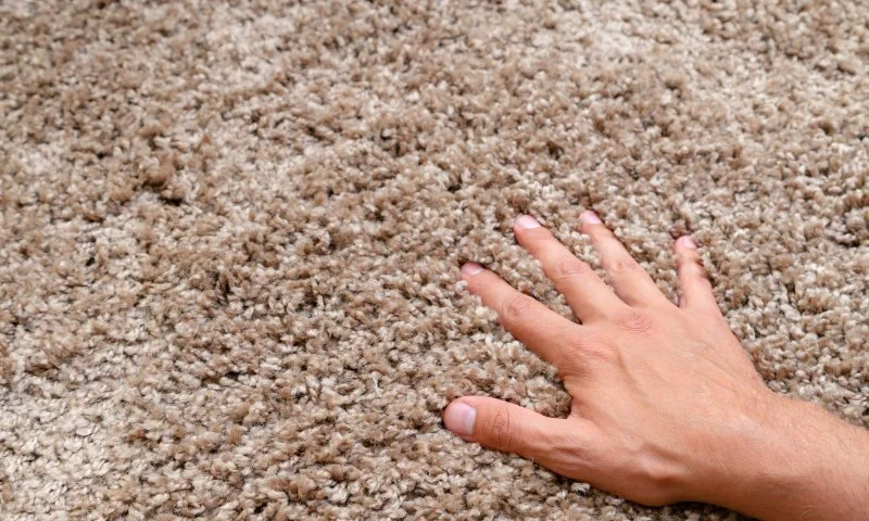 How to Add Value to Your Home with High-Quality Carpets