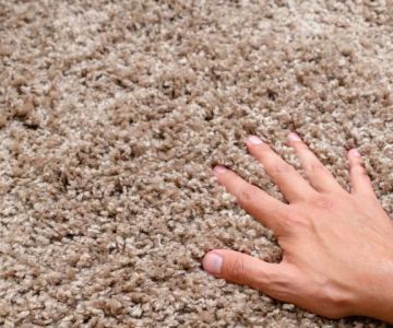 How to Add Value to Your Home with High-Quality Carpets