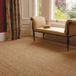 The Best Carpet Colors for Brightening Up Your Space