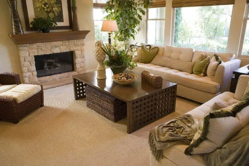 Can Carpets Improve Your Home’s Indoor Air Quality? | CarpetHub
