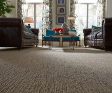 Carpet vs. Tile: Which Flooring Is Better for Your Home?
