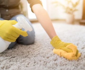 How to Extend the Life of Your Carpet: Maintenance Tips Every Homeowner Should Know