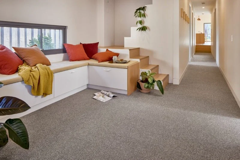 The Best Carpet Choices for Homes with High Humidity or Moisture