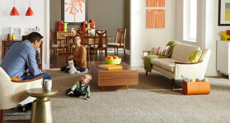 What Are the Benefits of Choosing a Frieze Carpet for Your Home?