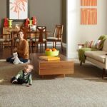 What Are the Benefits of Choosing a Frieze Carpet for Your Home?