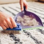 How to Remove Pet Hair from Your Carpet Without Hassle