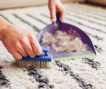 How to Remove Pet Hair from Your Carpet Without Hassle