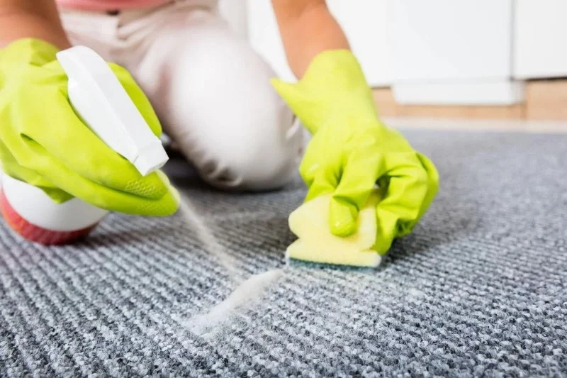 How to Make Your Carpet Last Longer: Essential Care and Cleaning Tips