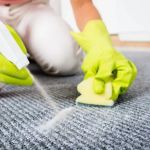 How to Make Your Carpet Last Longer: Essential Care and Cleaning Tips