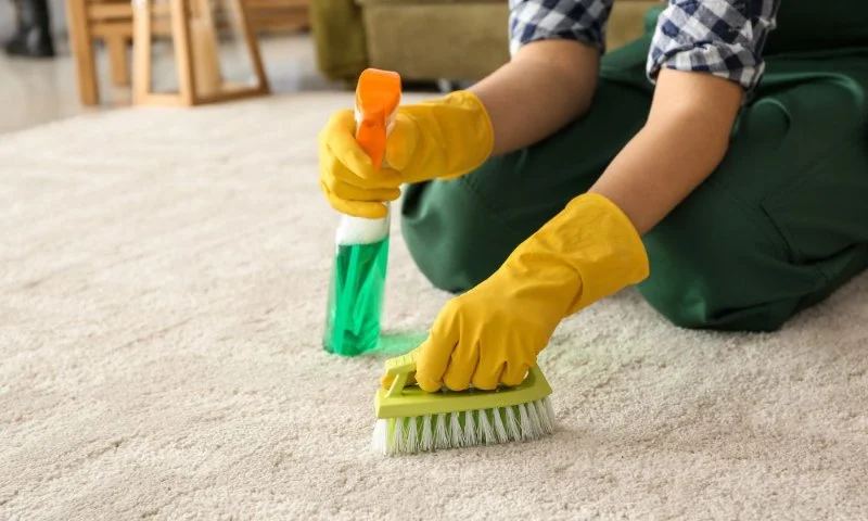 How to Maintain Your Carpet in a Busy Household