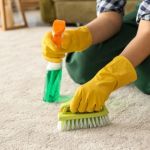 How to Maintain Your Carpet in a Busy Household